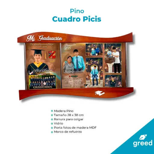 PICIS PINO